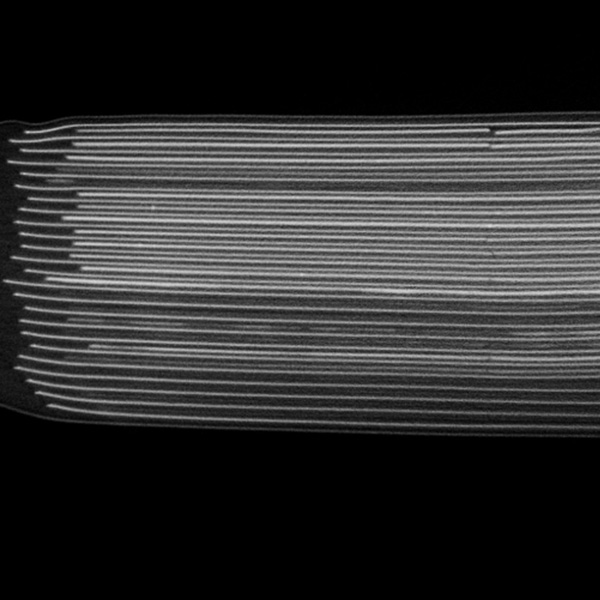 Cellule à poche