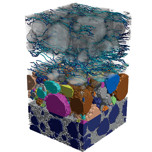Structure de l'électrode
