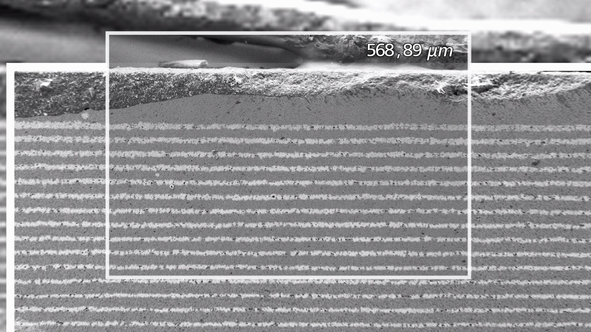 Analyse de la composition des couches de batteries Li-Ion avec ZEISS EVO 25 