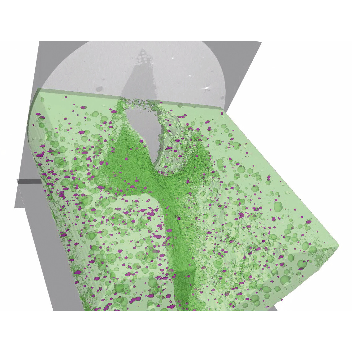 Analyse de la microstructure