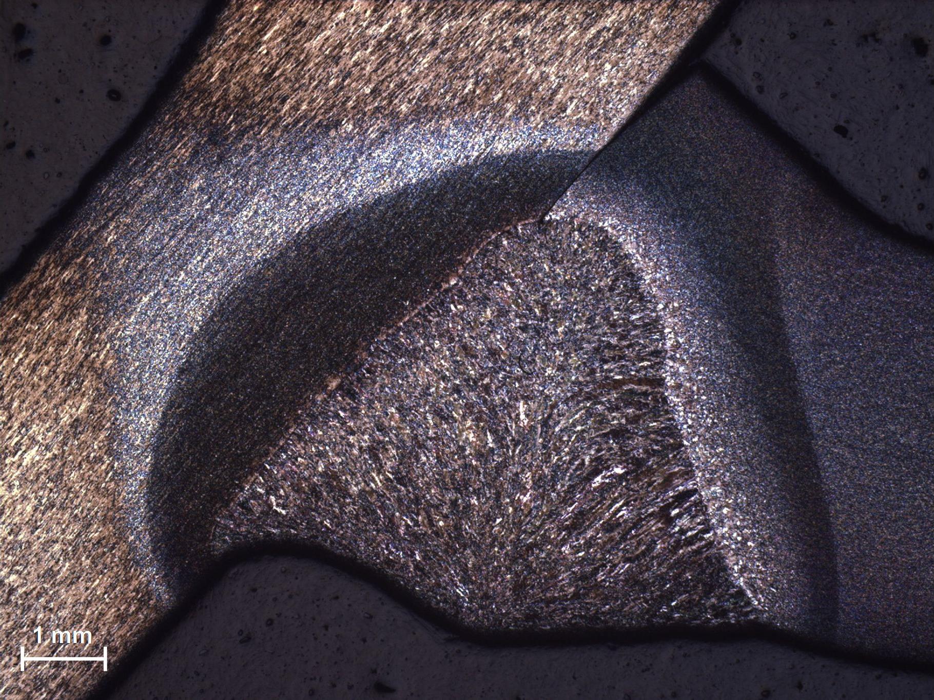 ZEISS coaxial à fond clair avec découpe par soudure Smartzoom 5