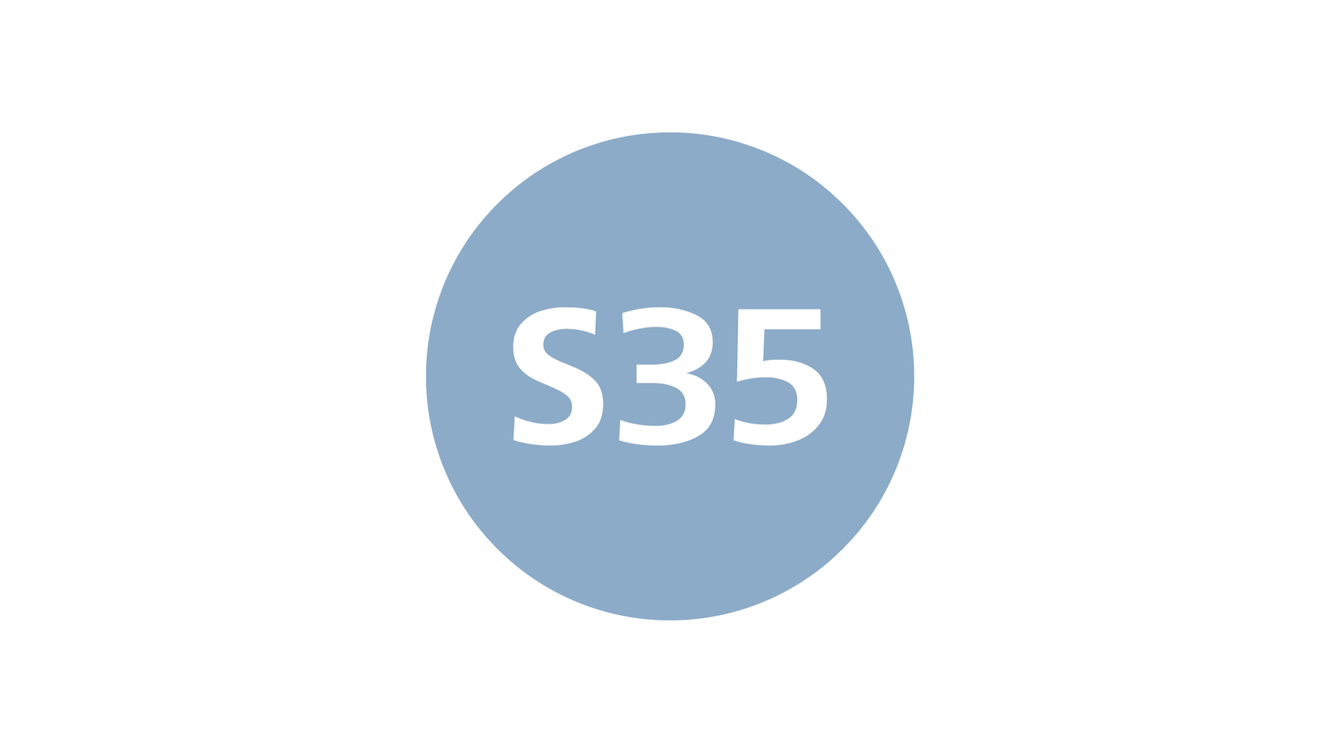 Light blue circle with white text "S35" centered on a black background.