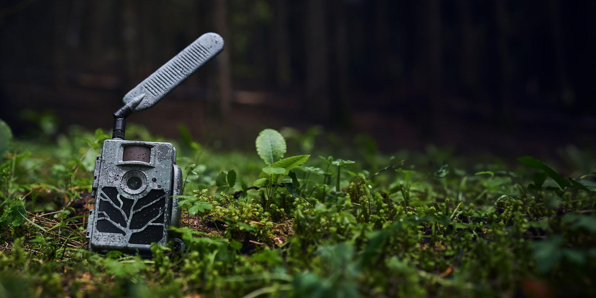 A ZEISS trail camera with a camouflage design and extended antenna is positioned on the forest floor among green foliage.