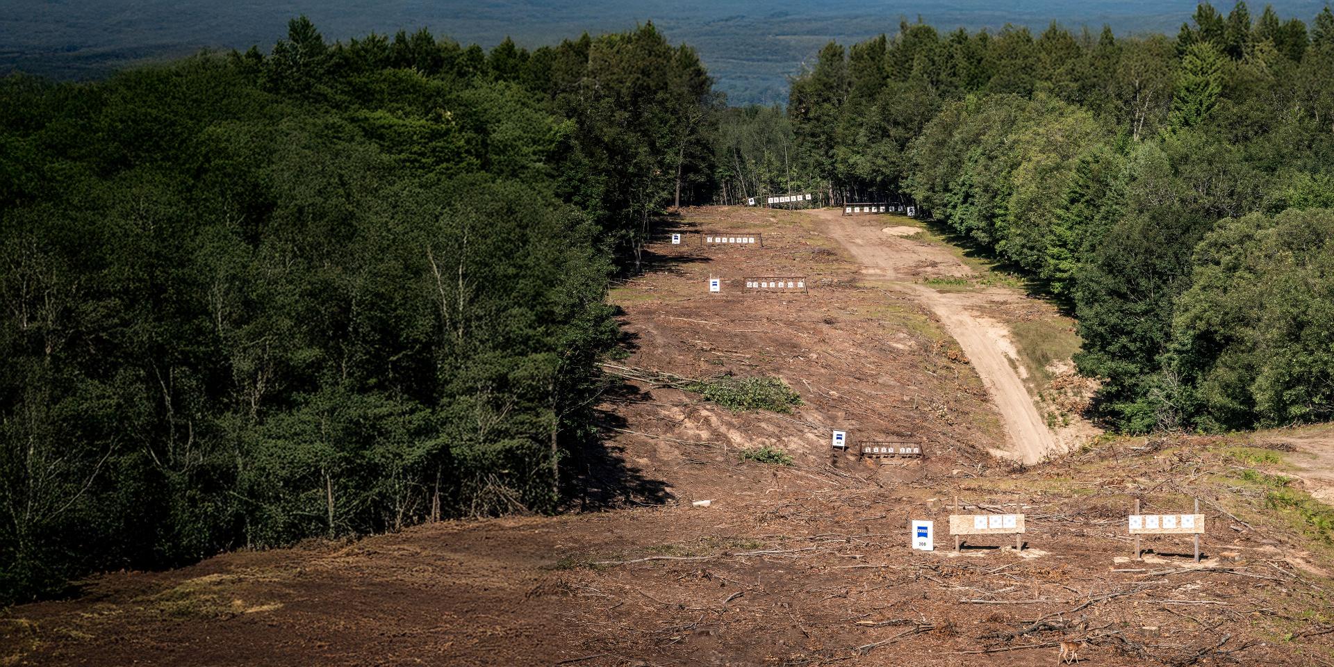 Outdoor shooting range featuring multiple distance-marked targets set along a cleared hillside bordered by dense green forest, with ZEISS signage visible throughout the area.