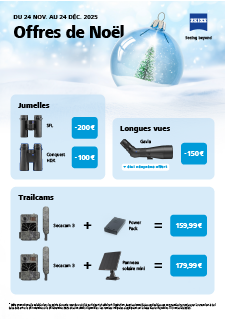 Image d’aperçu de Offres de Noël