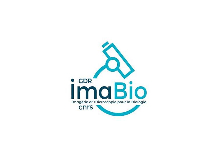 Logo GDR imaBio