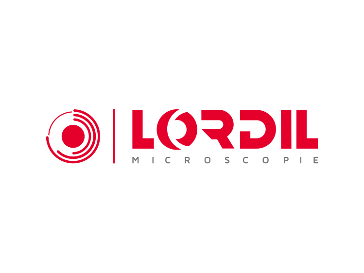 Logo LORDIL