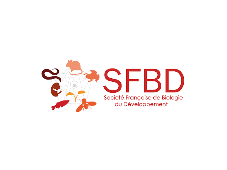 Logo SFBD