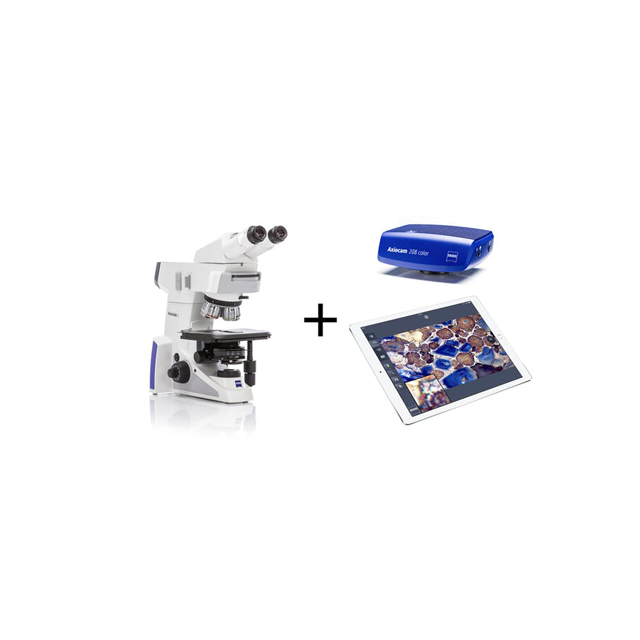 Image produit Axiolab 5 avec l'Axiocam 208 couleur et l'application d'imagerie Labscope