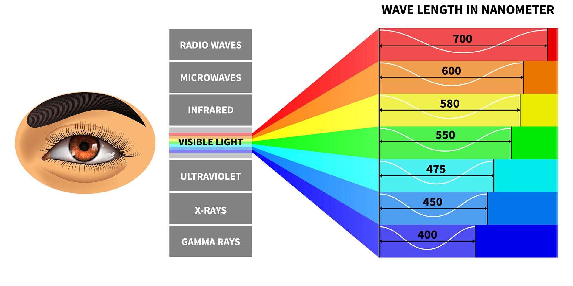 Spectre de la lumière visible et longueur d’ondes des couleurs perçues par l&apos;œil humain.
